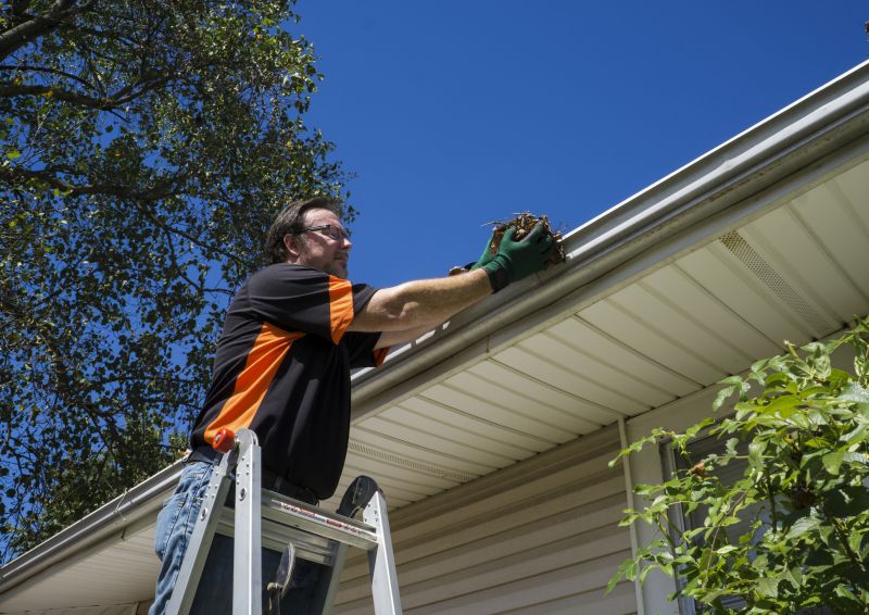 Building Gutter Cleaning