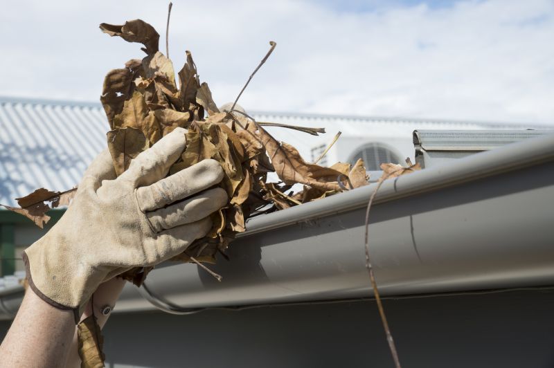 Gutter Leaves Removal detail