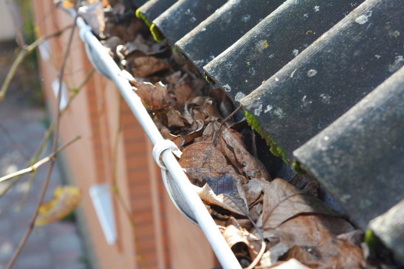 Clogged Gutters Before Cleaning