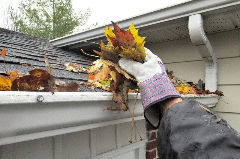 Gutter Leaves Removal