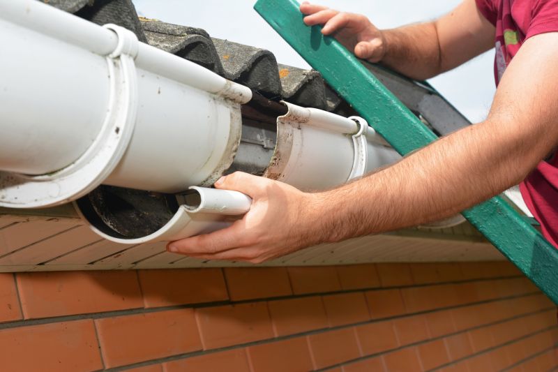 Rain Gutter Maintenance
